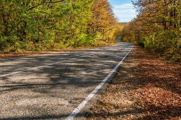 Ένας Επαρχιακός Δρόμος Μια Συστροφή Ανάμεσα Στο Κίτρινο Πράσινο Φθινοπωρινό — Φωτογραφία Αρχείου