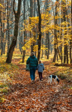 Sonbahar ormanında ceketli bir kadın ve çocuk ve bir köpek. Arkadan bak. Arka planda düşen yapraklar ve ağaç gövdeleri. Anne ve kızı ormanda yürüyüşe çıkmış. Mutlu aile kavramı.