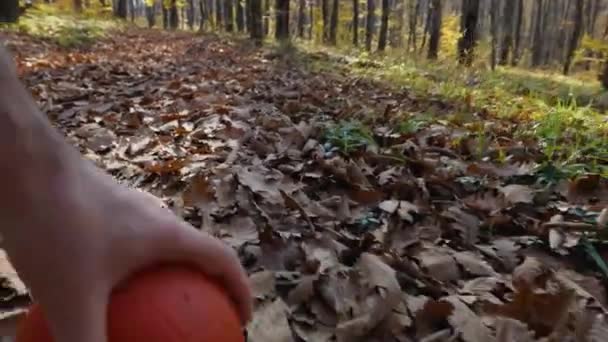 Ein Mann Wirft Einem Hund Einem Herbstlichen Wald Einen Ball — Stockvideo