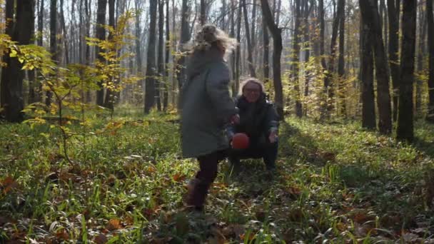秋の森で遊んでいる女の子と犬を持つ女性 木の幹が背景にあります 娘と犬との母は公園で楽しみを持っています 幸せな家庭の概念 — ストック動画