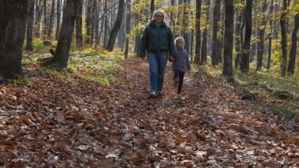 ジャケット ジーンズの女性は 森の中の落ち葉を手でジャケットの女の子と一緒に歩いています 秋の森の中を歩く母と娘 幸せな子供時代の概念 — ストック動画