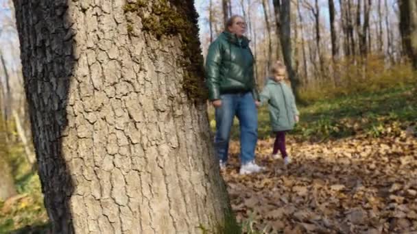 秋の森を歩いていると 眼鏡とジャケットとジーンズの女性が女の子の手を握っている 彼らの足は落ち葉を蹴っている 森の中を歩く母と娘 — ストック動画