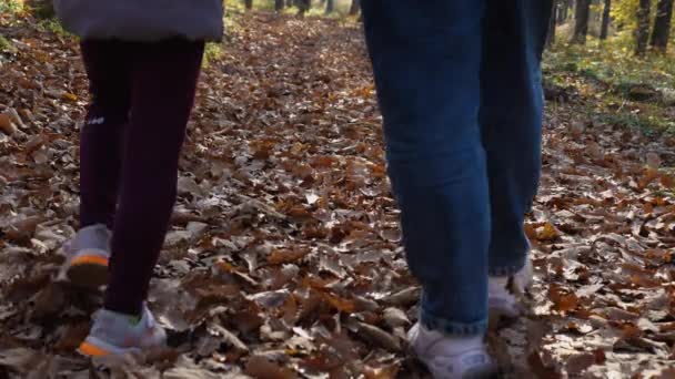 Kobiece Dziecięce Stopy Spacerujące Opadłych Liściach Lesie Tle Biegnie Pies — Wideo stockowe