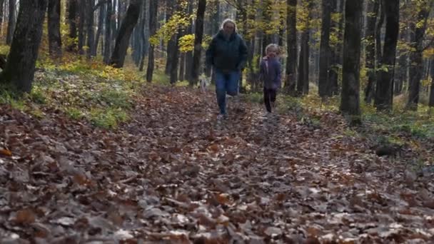 森の中の落ち葉の中を女性と子供が駆け抜ける 背景には若い犬がいる 秋の森の中を歩く母と娘 幸せな子供時代の概念 — ストック動画
