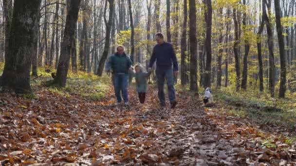 秋の森の中を男と女が歩き 子供と手を携えている 女の子は手を握りながらジャンプし 裏返しをする 公園を散歩中の父の母と娘 — ストック動画