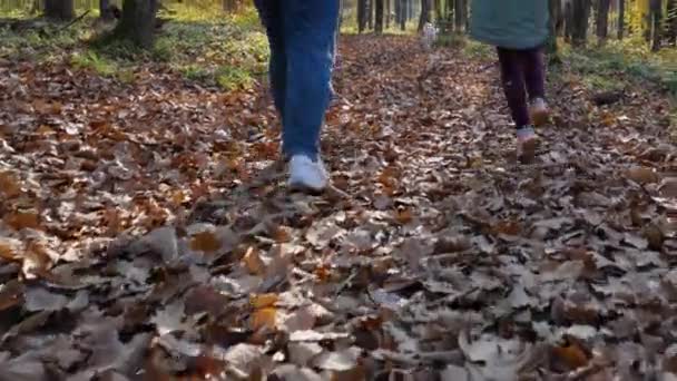 ジーンズ姿の女性や 森の中の落ち葉の少女と歩くスニーカー 子供は走って飛び跳ねている 秋の森の中を歩く母と娘 幸せな子供時代の概念 — ストック動画
