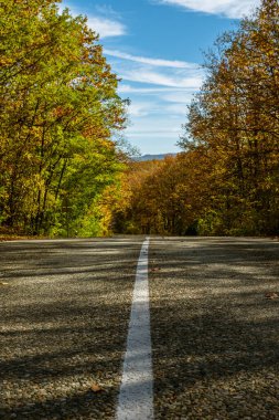 Asfalt kırsal bir yolda sarı-yeşil sonbahar ormanına giden beyaz, katı bir çizgi. Arka planda bir dağ ve mavi bir gökyüzü var.