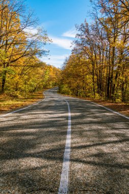 Sonbahar ormanının ortasında beyaz işaretli boş bir köy yolu. Arka planda bulutlu mavi bir gökyüzü var