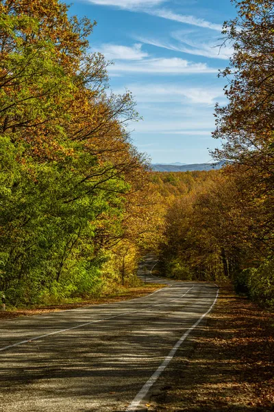 Ένας Ασφαλτοστρωμένος Επαρχιακός Δρόμος Περνάει Μέσα Από Φωτεινό Φθινοπωρινό Δάσος — Φωτογραφία Αρχείου