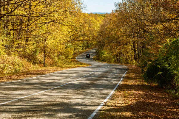 Egy Magányos Autó Egy Kanyargós Országúton Egy Sárga Őszi Erdőben — Stock Fotó