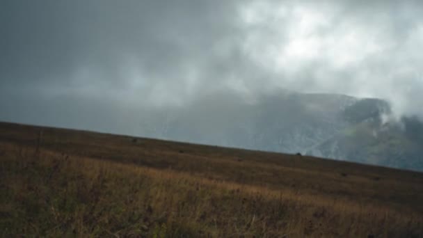 タイムラプス低山の中で雲ぶら下げ 背景には雪の山があります 手前の黄色い秋草 スローカメラ運動 — ストック動画