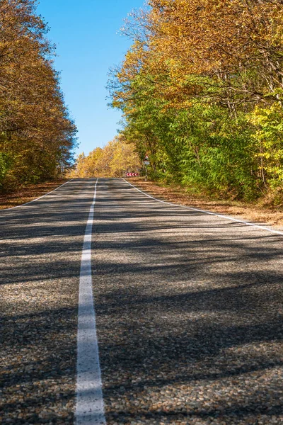 Geradlinige Asphaltstraße Mit Weißen Markierungsstreifen Gelb Grüne Bäume Straßenrand Blauer — Stockfoto