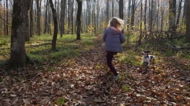金髪の女の子が秋の森の中でボールをキャッチして投げます 近くに犬がいる 背景に落ちた葉や木の幹で 幸せな子供時代の概念 — ストック動画