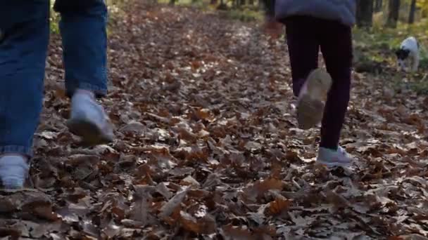 Kobiece Dziecięce Stopy Biegnące Przez Opadłe Liście Lesie Młody Pies — Wideo stockowe
