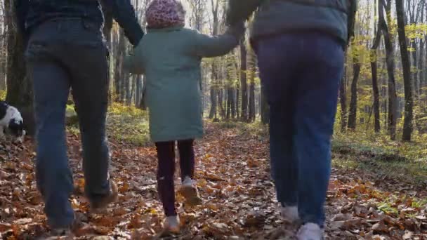 秋の森の中を男と女が歩き 子供と手を携えている 女の子が手を握ってジャンプします 公園を散歩しているお父さんのお母さんと娘 幸せな家庭の概念 — ストック動画