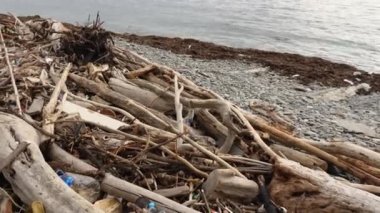 Plastik şişeler, kütükler ve deniz kıyısındaki diğer çöpler. Fırtınadan sonra sahilde çöp. Ekoloji kavramı