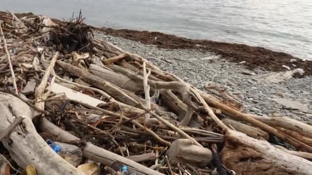 Plastic Bottles Logs Other Trash Stone Seashore Garbage Beach Storm — Stock Video