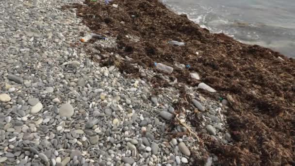 Plastové Láhve Další Odpadky Mezi Mrtvými Řasami Skalnatém Pobřeží Koncept — Stock video