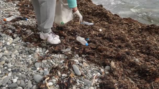 一名妇女自愿清理石滩上的塑料垃圾 生态的概念 — 图库视频影像