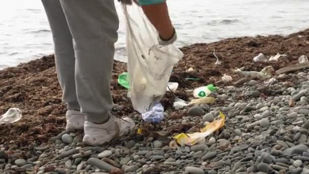 Woman Volunteers Pick Trash Bag Sea Stony Shore Covered Algae — Stock Video
