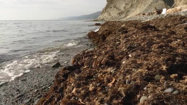 Close Litoral Com Manchas Secas Algas Pedras Pedras Céu Cinzento — Vídeo de Stock