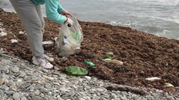 女性は藻に覆われた海岸の袋にゴミを集めます ボランティアがペットボトルの海石海岸をきれいにします 生態学の概念 — ストック動画