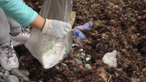 Woman Wearing Glove Collects Plastic Trash Bag Seashore Concept Ecology — Stock Video