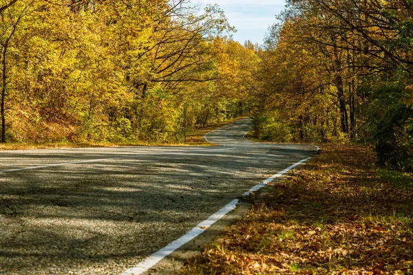 Αγροτικός Ασφαλτοστρωμένος Δρόμος Καμπύλες Ανάμεσα Στα Φθινοπωρινά Δάση Στο Βάθος — Φωτογραφία Αρχείου