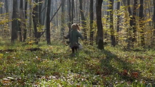 在秋天的森林里 女孩和狗在草地上跑来跑去 树的树干在后面 幸福童年的概念 — 图库视频影像