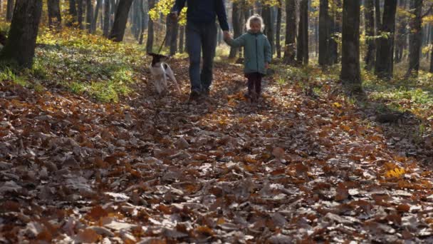 Homme Jean Sweat Carreaux Promènent Dans Parc Avec Une Fille — Video