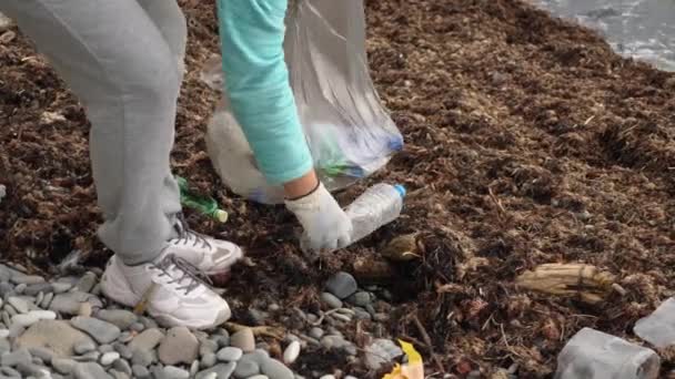 一个女人在袋子里收集塑料垃圾 一名志愿者清理了海滨的塑料瓶 生态的概念 — 图库视频影像