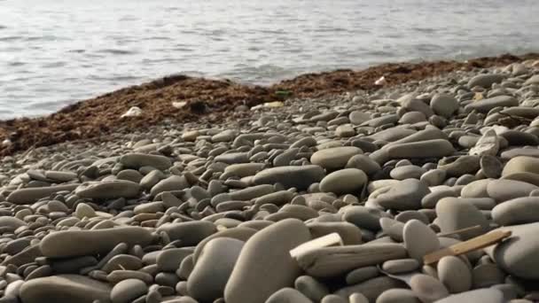 Piedi Nudi Una Donna Con Pantaloni Arrotolati Fino Alle Ginocchia — Video Stock