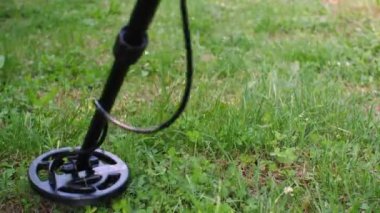 Bir metal detektörü ödül araması için yeşil çimlerin üzerinde sağa sola hareket ediyor.