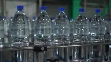 Mavi plastik su şişeleri taşıyıcı bant boyunca hareket ediyor. Maden suyu ve meşrubat üretimi için bitki yetiştirin.