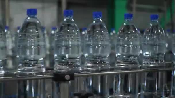 Garrafas Água Plástico Azul Estão Movendo Longo Uma Correia Transportadora — Vídeo de Stock