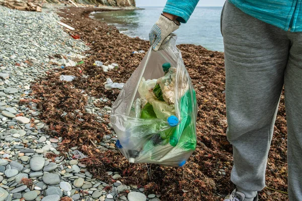 Gönüllü bir kız, deniz yosunlarındaki kayalık bir sahilde toplanan plastik çöplerle dolu bir çantayı tutuyor. Çevre aktivisti kirlilikten kıyıları temizliyor. Doğayla ilgilenme kavramı