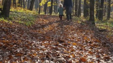 Bir adam ve bir kız el ele tutuşuyor sonbahar ormanlarında yaprakların arasında yürüyorlar. Baba ve kızı parkta yürüyüş yapıyor. Mutlu aile kavramı.