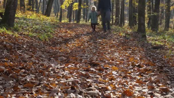 秋の森の中を歩いている男と女 公園を散歩中の父と娘 幸せな家庭の概念 — ストック動画