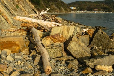 Deniz kıyısındaki büyük kayalar ve kuru ağaç gövdeleri. Kayanın arka planında, şehir plajında ve bulutlu gökyüzünde. Deniz Burnu
