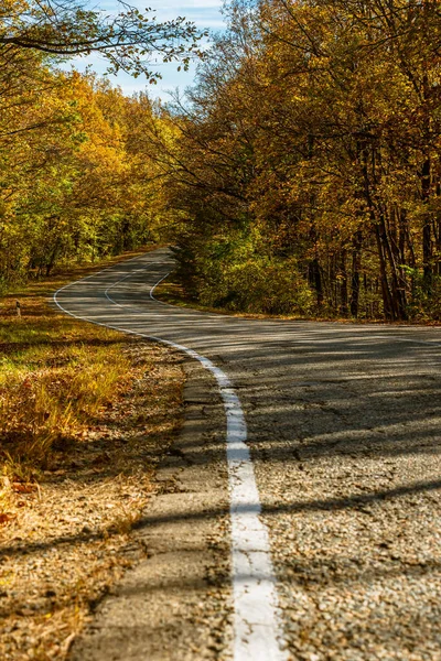 Strada Campagna Con Segnaletica Bianca Asfalto Incrinato Tra Foreste Autunnali — Foto Stock