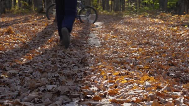 Hombre Camina Largo Sendero Forestal Bosque Otoño Árbol Donde Encuentra — Vídeos de Stock