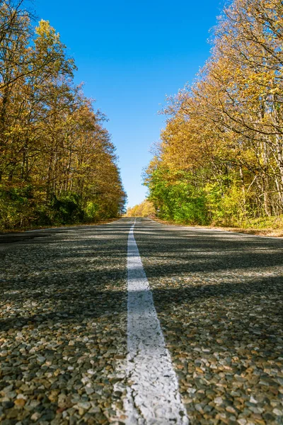 国の道路上のマーキングの白い固体行の距離に入る 道路の端には黄色の緑の木です 背景には青空が広がっています 秋の旅行の概念 — ストック写真