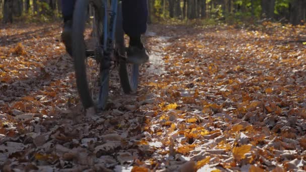 Jesienny Las Długimi Cieniami Drzew Mężczyzna Jedzie Rowerem Górskim Ścieżką — Wideo stockowe