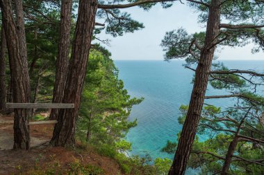 Deniz kıyısındaki kayalıklardaki çam ağaçları turkuaz deniz suyunun arka planına karşı. Yukarıdan Karadeniz kıyısı manzarası