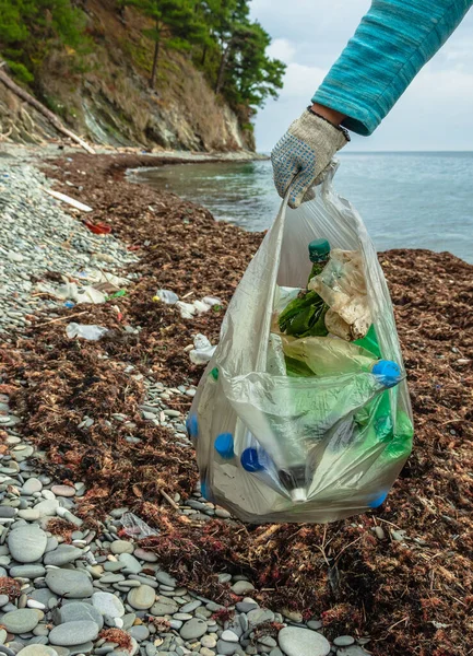 A girl volunteer holds a bag full of plastic trash in her hand. In the background is a stone beach with seaweed and leftover garbage. Eco-activist cleans the shore from pollution