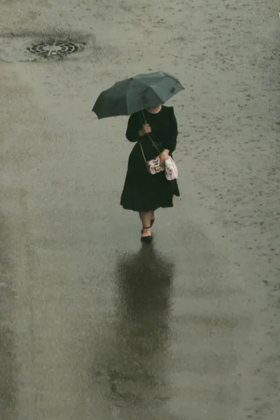 우산을 여자가 빗속을 여자가 아스팔트에 반사되고 빗방울이 날입니다 정면에서 바라본 — 스톡 사진