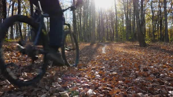 Hombre Una Bicicleta Montaña Pasea Través Las Hojas Bosque Otoño — Vídeos de Stock