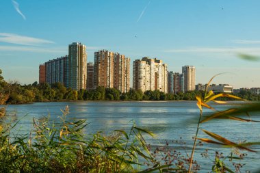 Nehir kıyısında modern gökdelenler. Arka planda kuşlarla dolu mavi bir gökyüzü var. Ön plandaki yeşil bastonda. Kentin kenar mahallelerinde peyzaj