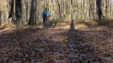 Bir adam sonbahar ormanında yaprakların arasından hızla dağ bisikleti sürüyor. Bisikletçi patika boyunca gidiyor, kameraya bakıyor. Düşük kamera açısı. Rusya, Krasnodar Bölgesi, 22 Ekim 2021