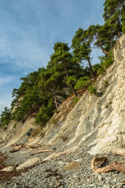 Çakıl taşı plajı, kayalar ve yeşil çam ağaçları. Arka planda bulutlu mavi bir gökyüzü var. Deniz Burnu